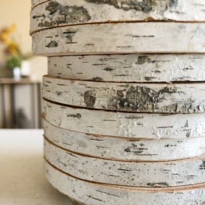 Rocky Top | Wood Burned Coasters