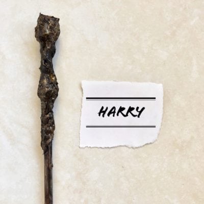 Harry | Handmade HP Inspired Wand