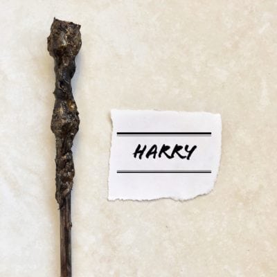 Harry | Handmade HP Inspired Wand